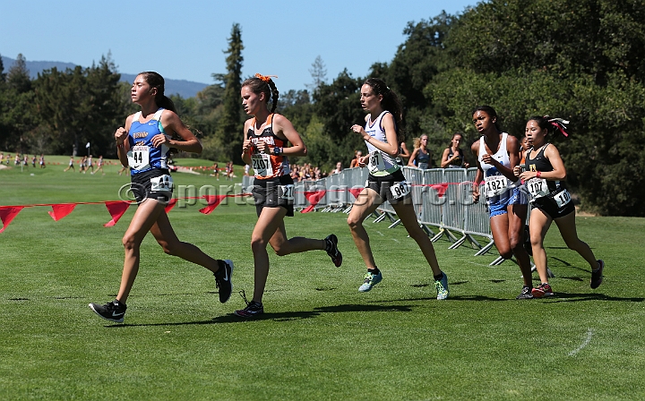 2015SIxcHSSeeded-195.JPG - 2015 Stanford Cross Country Invitational, September 26, Stanford Golf Course, Stanford, California.